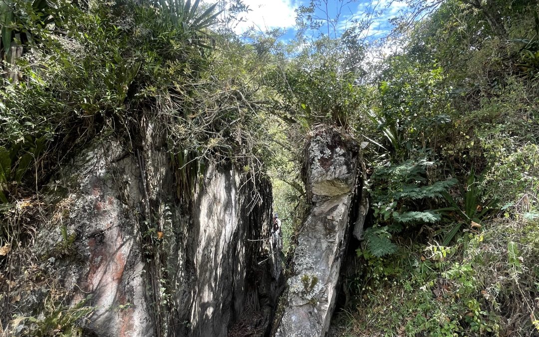 Jesús y la enseñanza sobre el poder