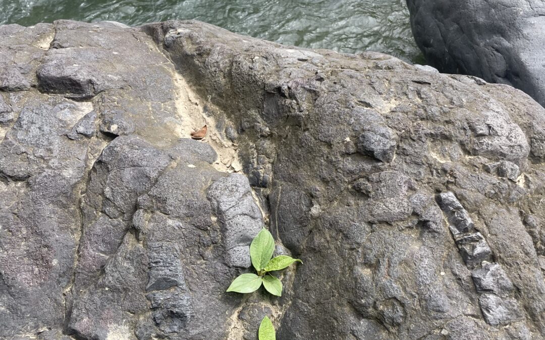 La hipocresía de los fariseos: un criterio social y el mensaje disruptivo de Jesús