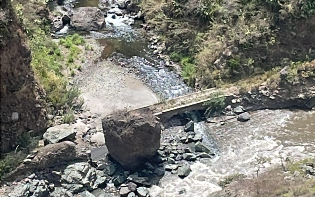 Dirigentes: ¿esbirros o enemigos internos? El eco de un pueblo traicionado