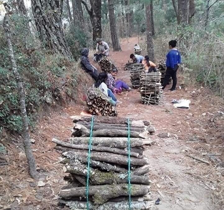 La táctica del miedo: el campo de batalla de Noboa