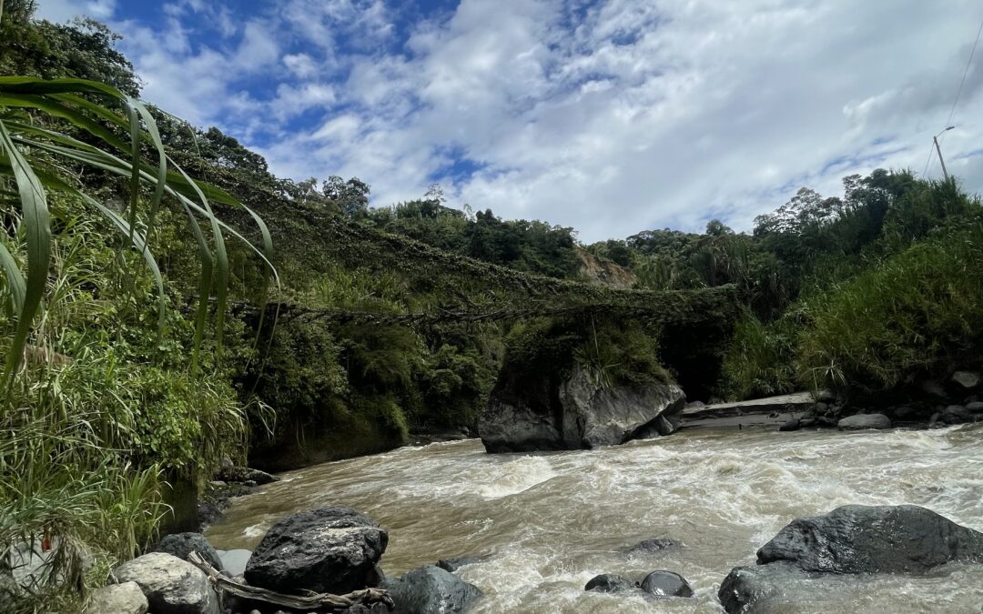 Rezar para que el corazón no claudique en la indignidad