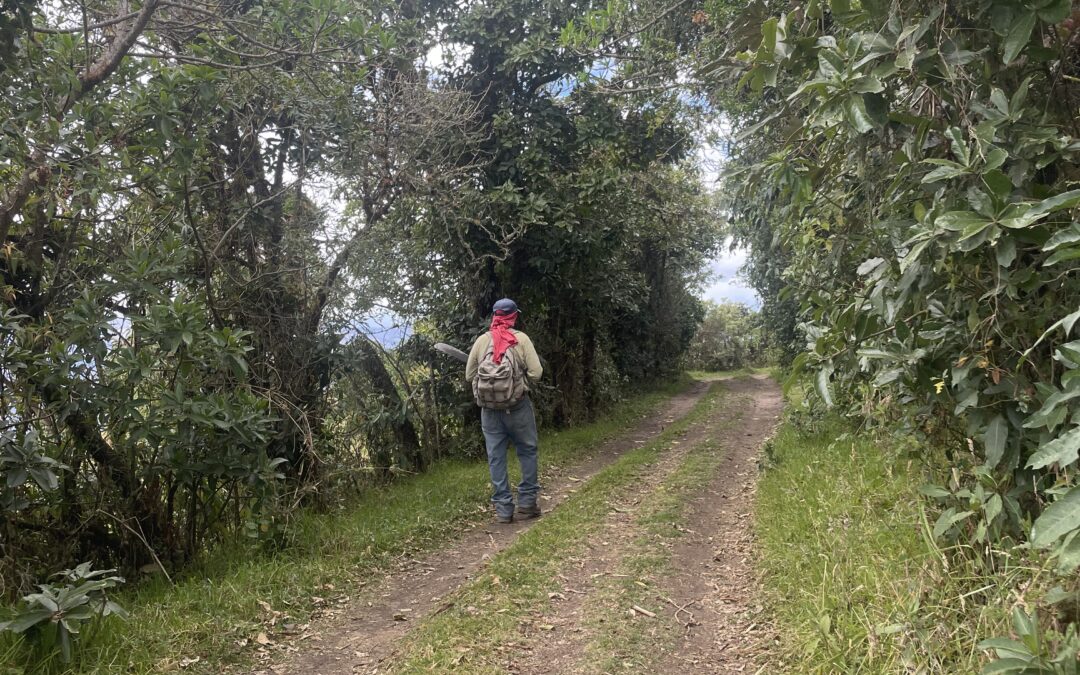 La corrupción un orden normal en Ecuador: de RC a Noboa