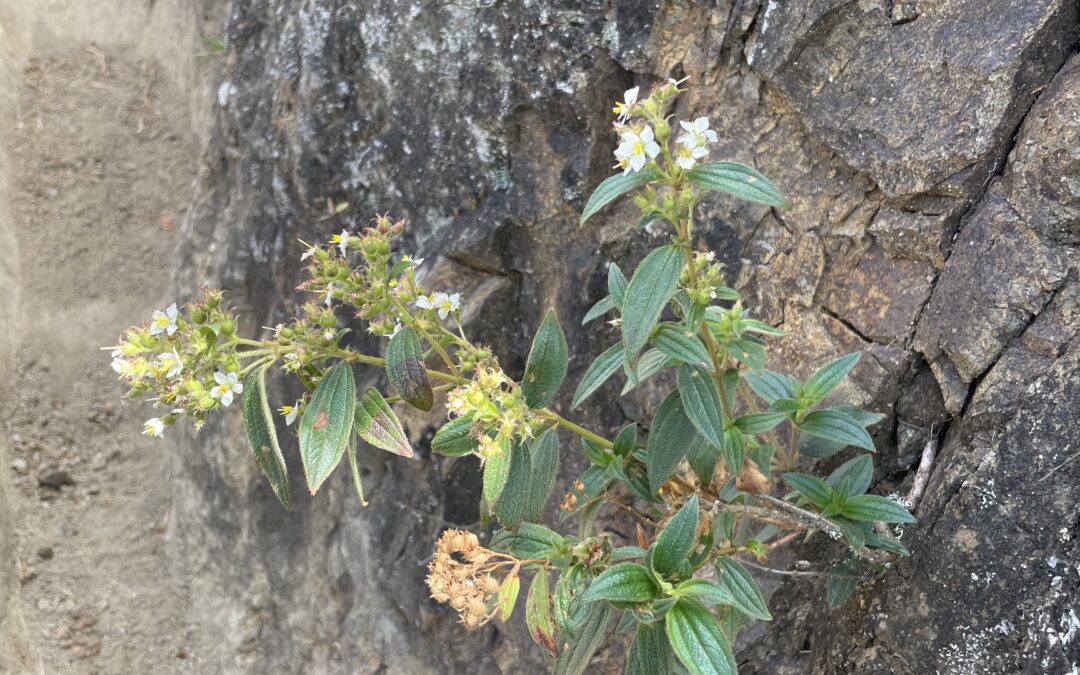 ¿Reconciliación con quién? Ante el silencio institucional