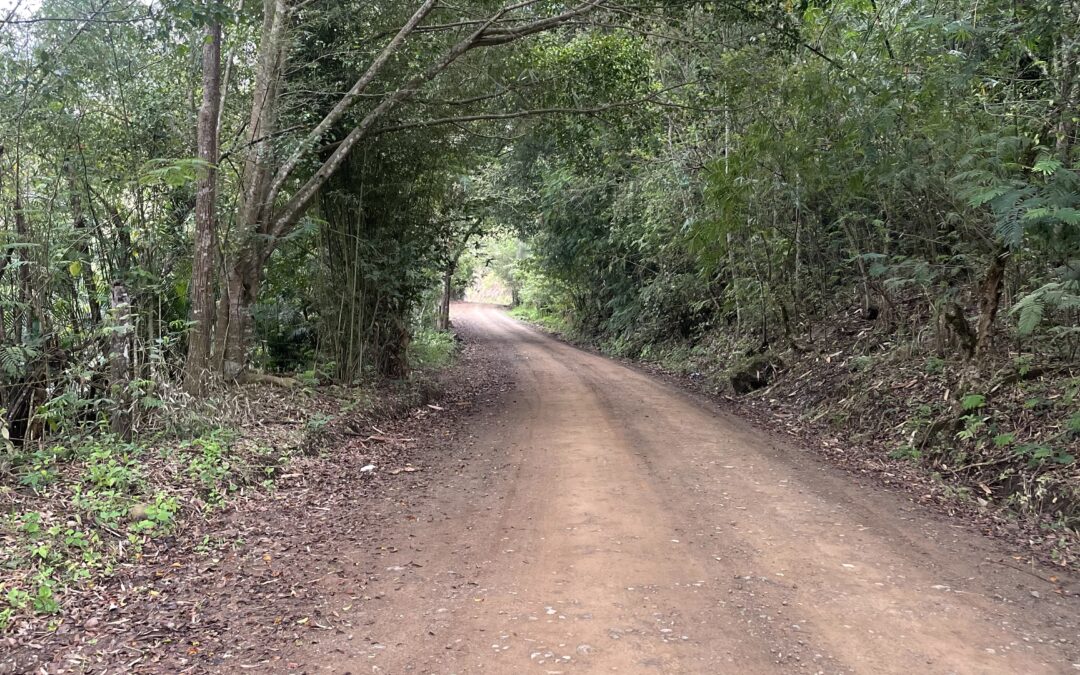 El machismo del poder y la represión en Otavalo
