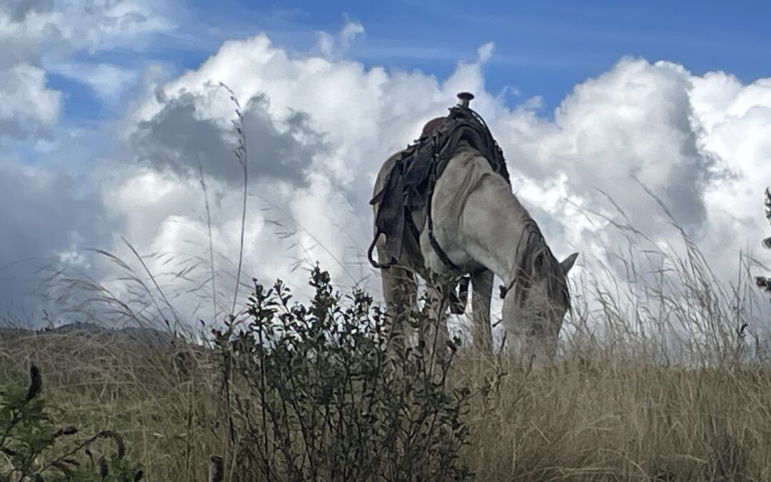 El Paro Nacional y la dignidad de los pueblos