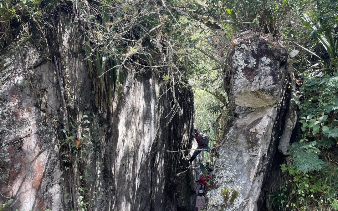 De la soberbia al servilismo: Noboa un peor que Correa