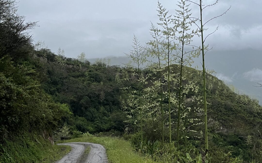 La democracia, en último término, es una pedagogía de la escucha.