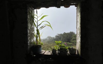 La superficialidad: la incapacidad de penetrar en la realidad