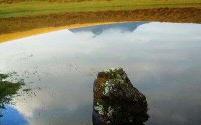 Agua (Cubilche)