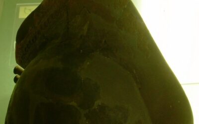 Habemus Papam, las apariencias y un rol importante